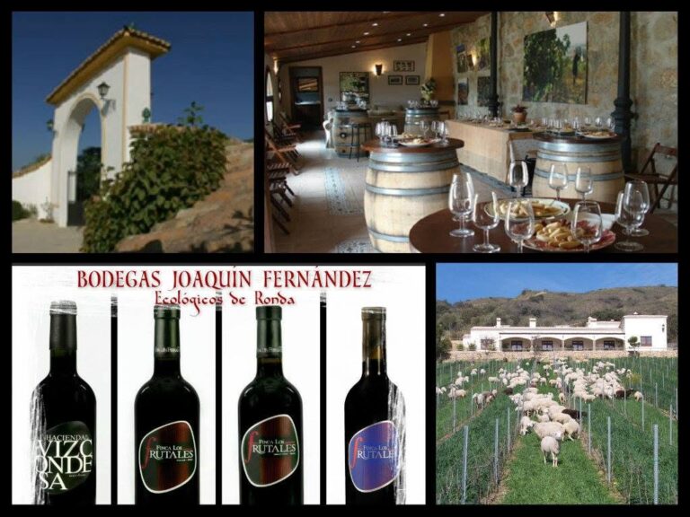 bodegas-joaquin-fernandez