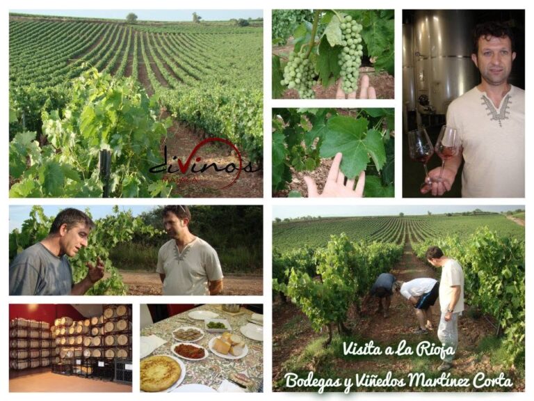 bodegas-martinez-corta